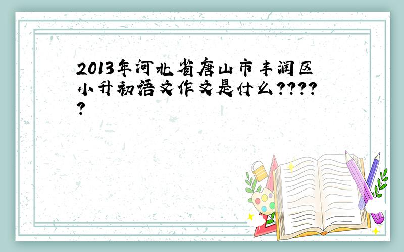 2013年河北省唐山市丰润区小升初语文作文是什么?????