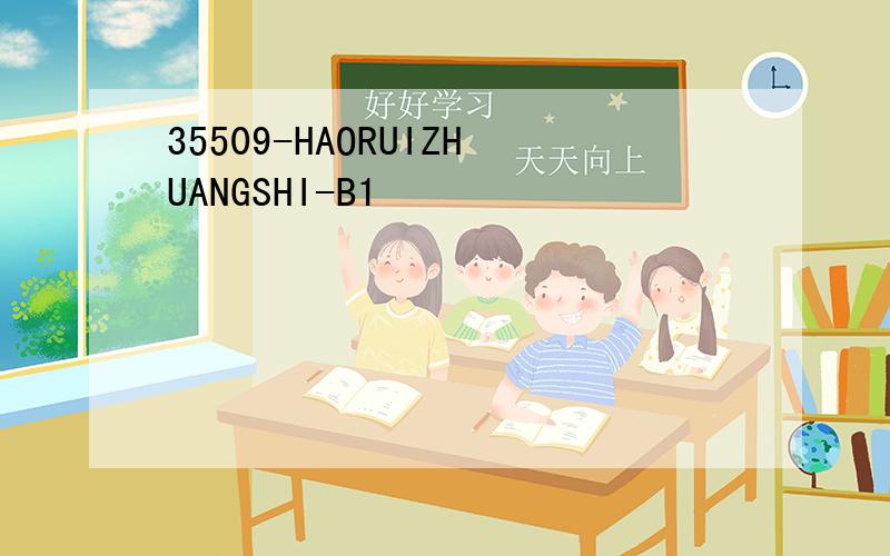 35509-HAORUIZHUANGSHI-B1