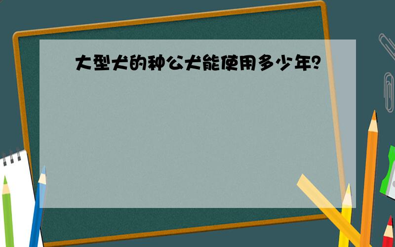 大型犬的种公犬能使用多少年？