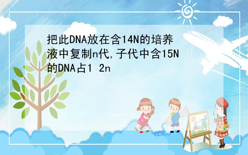把此DNA放在含14N的培养液中复制n代,子代中含15N的DNA占1 2n