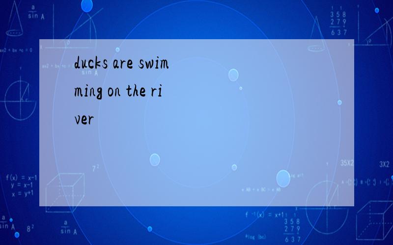 ducks are swimming on the river