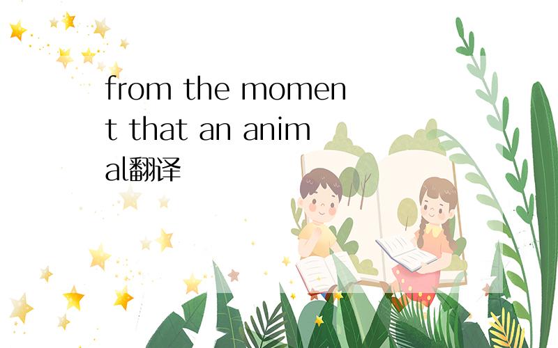 from the moment that an animal翻译