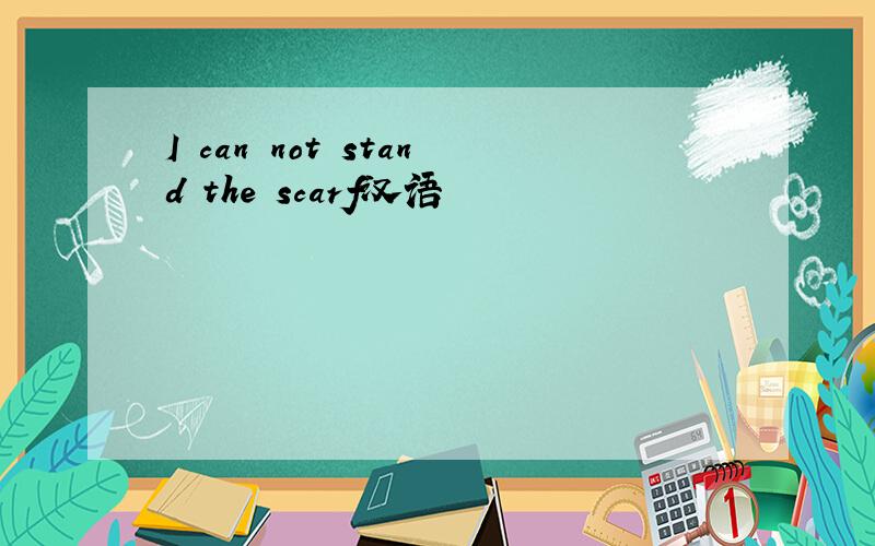 I can not stand the scarf汉语