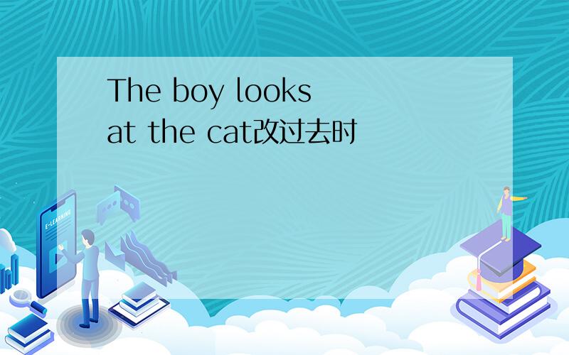 The boy looks at the cat改过去时