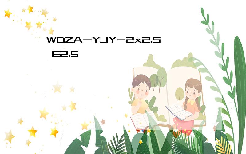 WDZA-YJY-2x2.5 E2.5