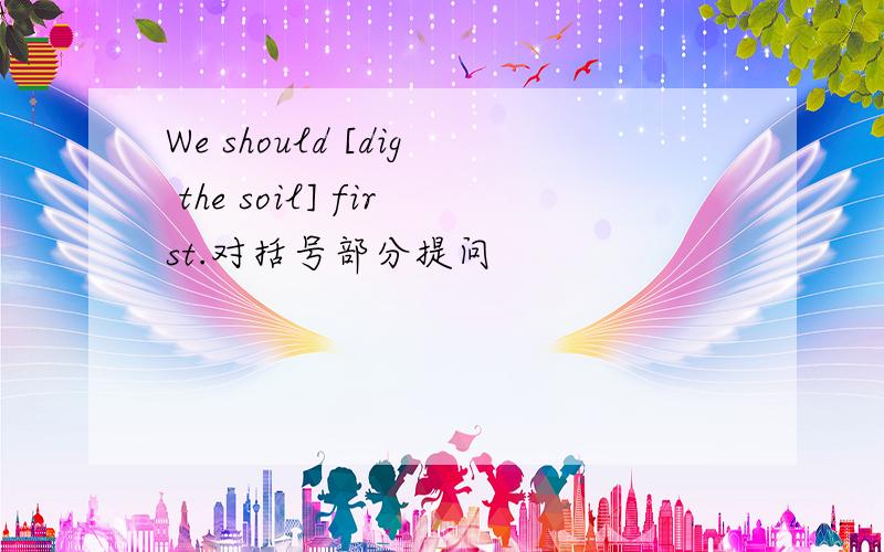 We should [dig the soil] first.对括号部分提问
