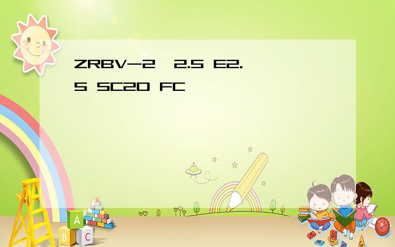 ZRBV-2*2.5 E2.5 SC20 FC