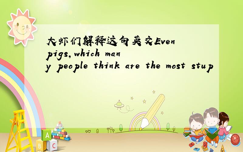 大虾们解释这句英文Even pigs,which many people think are the most stup