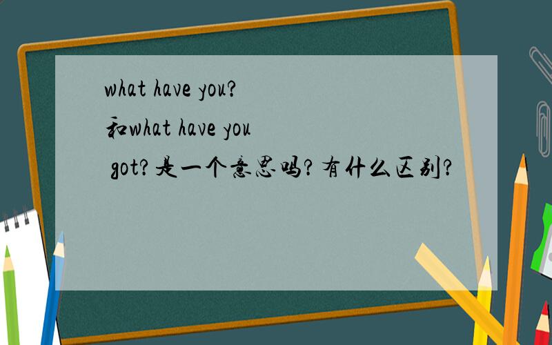 what have you?和what have you got?是一个意思吗?有什么区别?