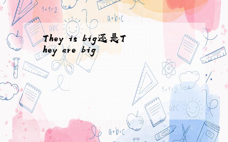 They is big还是They are big