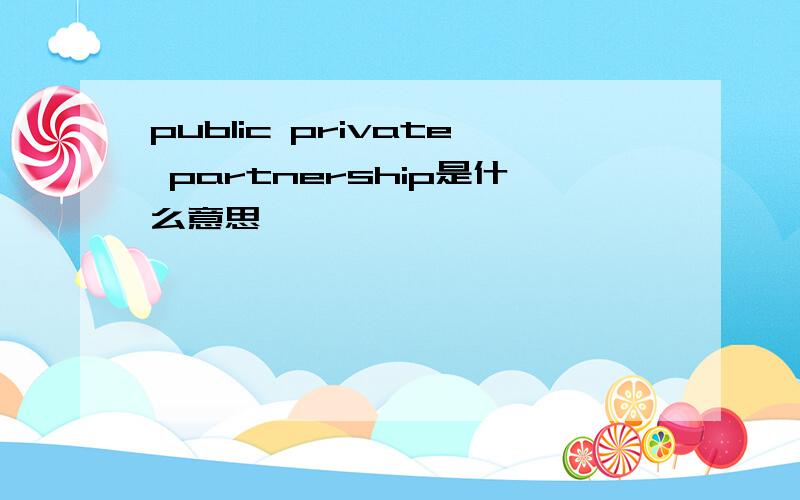 public private partnership是什么意思