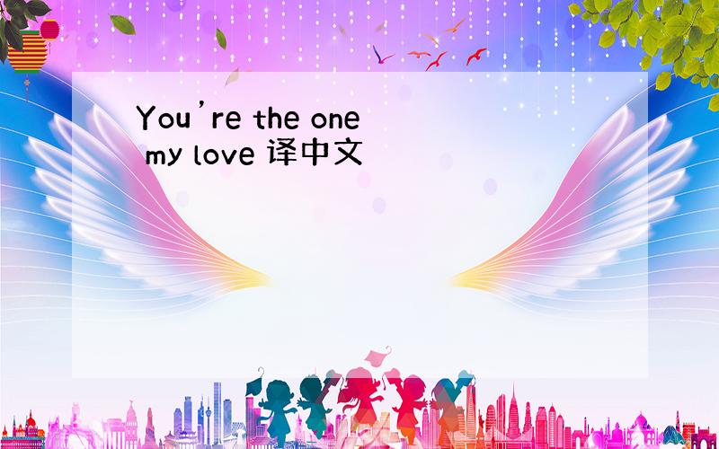 You’re the one my love 译中文
