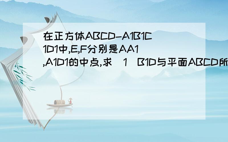 在正方体ABCD-A1B1C1D1中,E,F分别是AA1,A1D1的中点,求(1)B1D与平面ABCD所成的余弦值