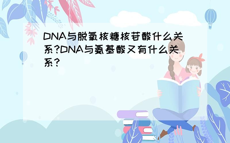 DNA与脱氧核糖核苷酸什么关系?DNA与氨基酸又有什么关系?
