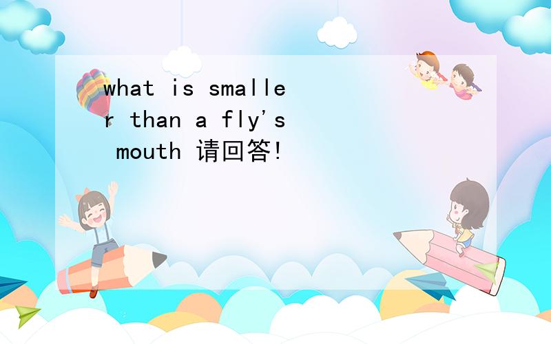 what is smaller than a fly's mouth 请回答!