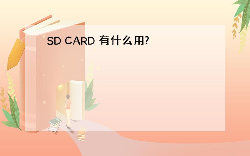 SD CARD 有什么用?