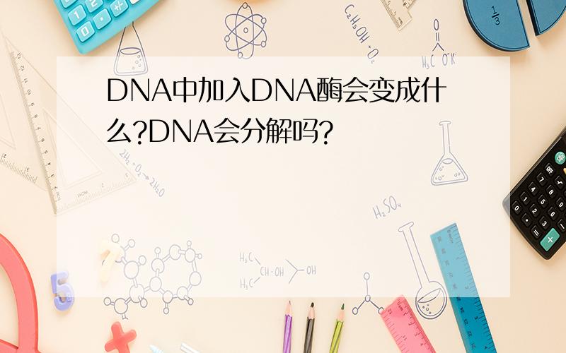 DNA中加入DNA酶会变成什么?DNA会分解吗?