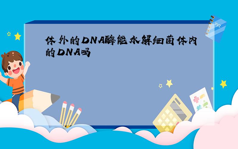 体外的DNA酶能水解细菌体内的DNA吗