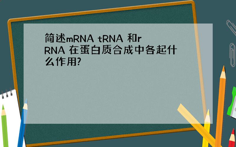 简述mRNA tRNA 和rRNA 在蛋白质合成中各起什么作用?