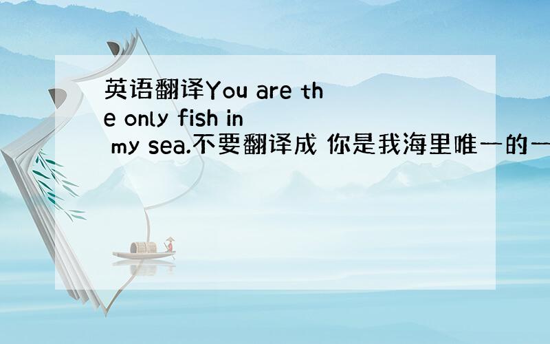 英语翻译You are the only fish in my sea.不要翻译成 你是我海里唯一的一条鱼要深奥的,具体