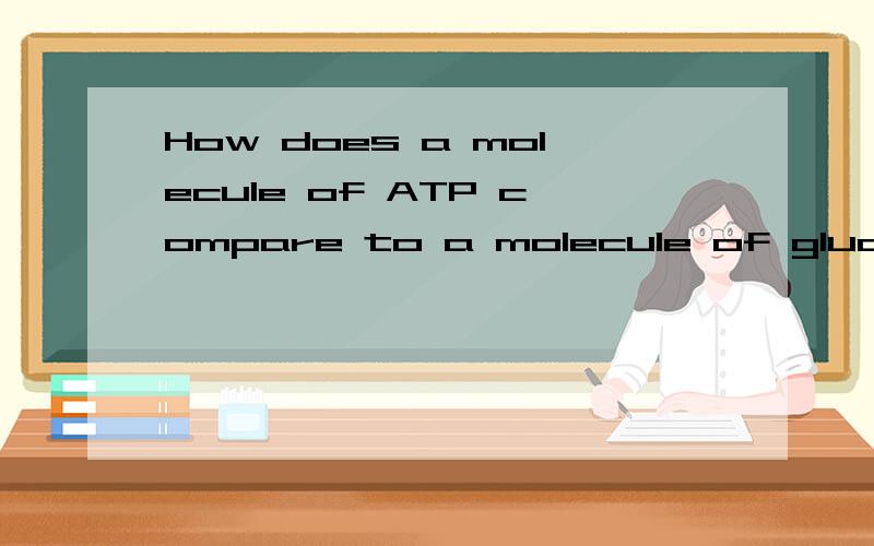 How does a molecule of ATP compare to a molecule of glucose