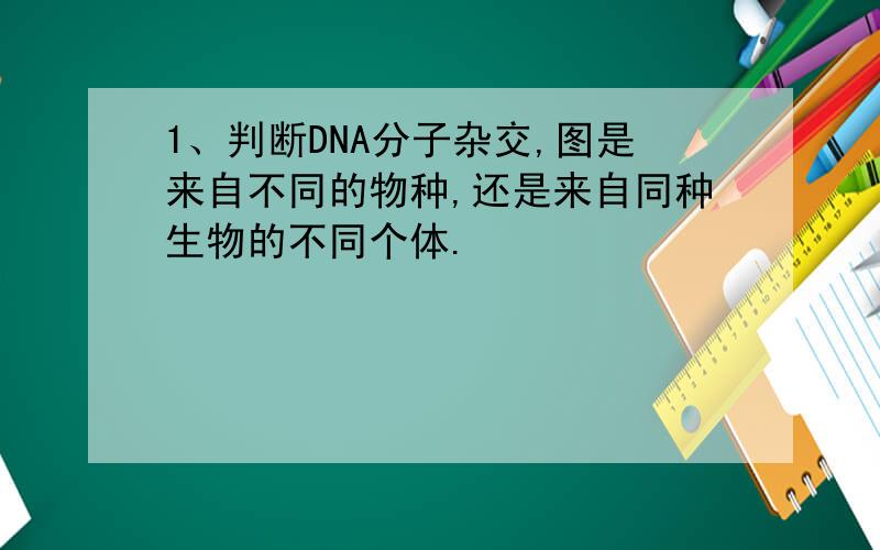 1、判断DNA分子杂交,图是来自不同的物种,还是来自同种生物的不同个体.