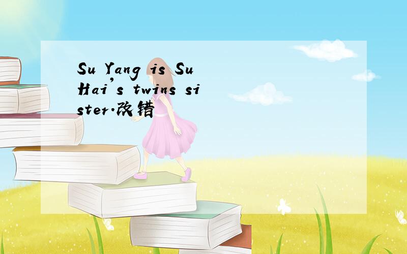 Su Yang is Su Hai's twins sister.改错