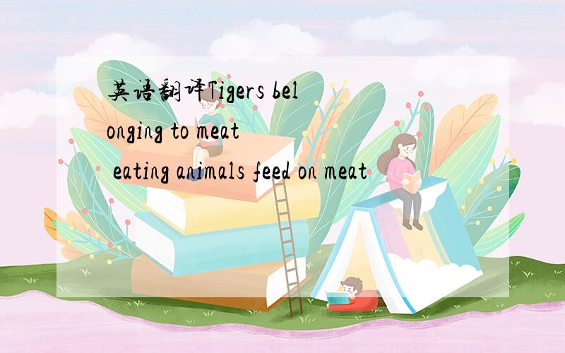 英语翻译Tigers belonging to meat eating animals feed on meat