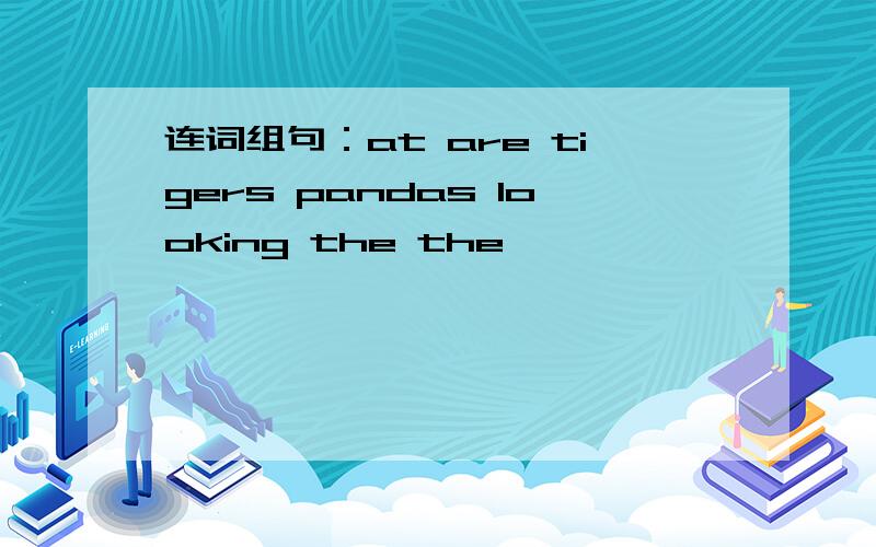 连词组句：at are tigers pandas looking the the