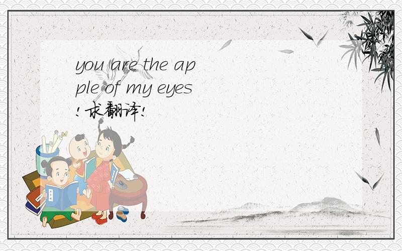 you are the apple of my eyes!求翻译!