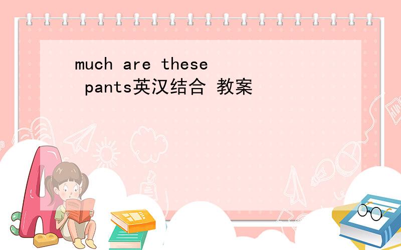 much are these pants英汉结合 教案