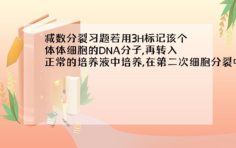 减数分裂习题若用3H标记该个体体细胞的DNA分子,再转入正常的培养液中培养,在第二次细胞分裂中期,一个细胞中的染色体总数