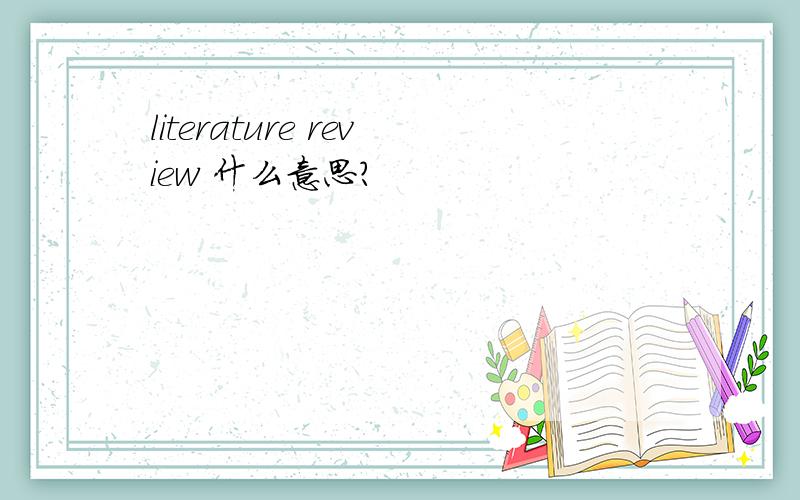 literature review 什么意思?