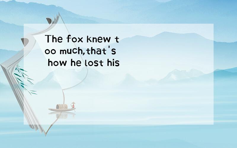 The fox knew too much,that's how he lost his
