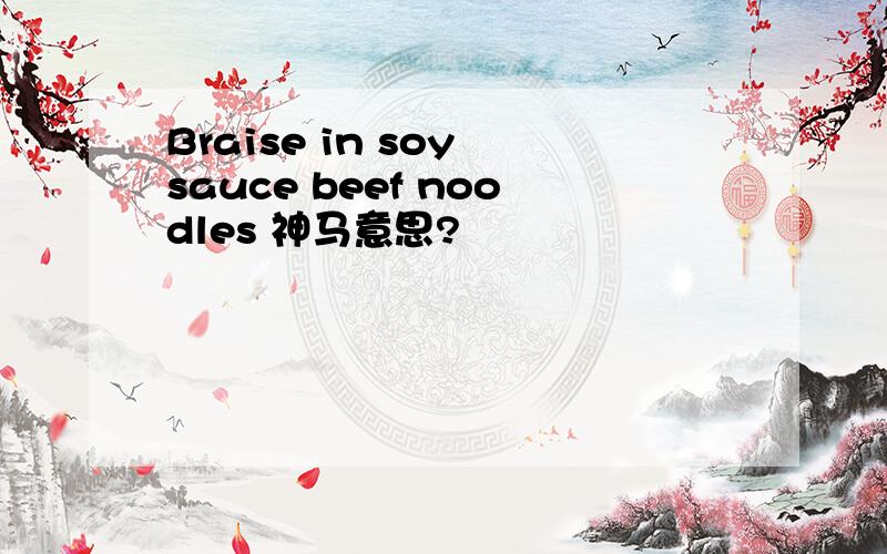 Braise in soy sauce beef noodles 神马意思?