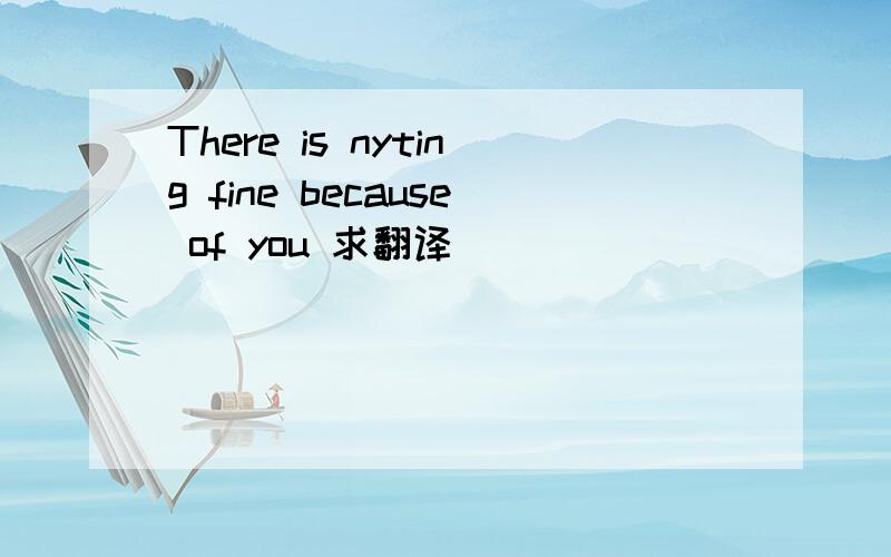 There is nyting fine because of you 求翻译