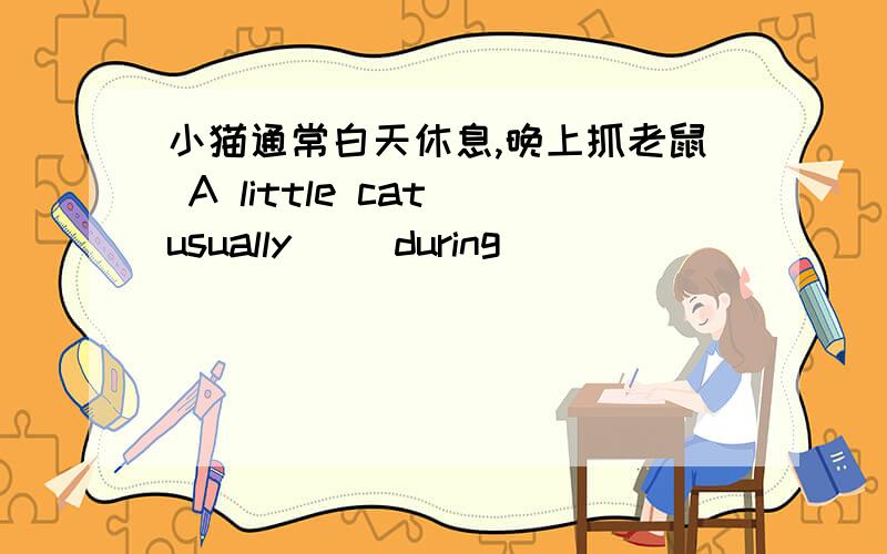 小猫通常白天休息,晚上抓老鼠 A little cat usually( )during