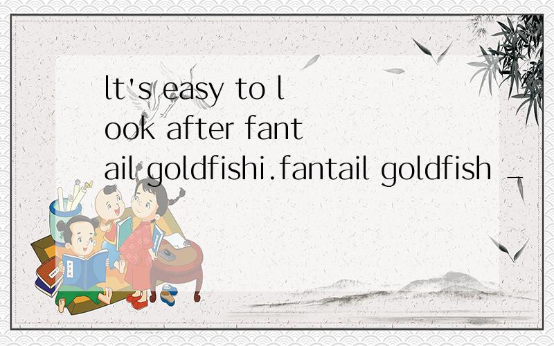 lt's easy to look after fantail goldfishi.fantail goldfish _