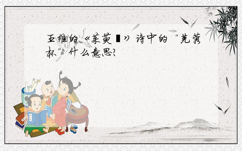 王维的《茱萸泮》诗中的“芙蓉杯”什么意思?