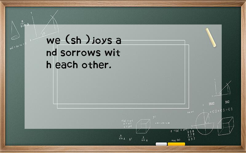 we (sh )joys and sorrows with each other.