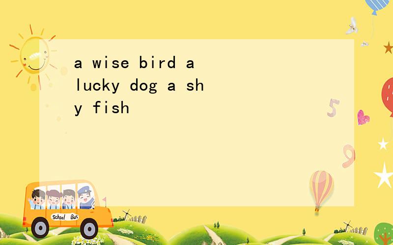 a wise bird a lucky dog a shy fish