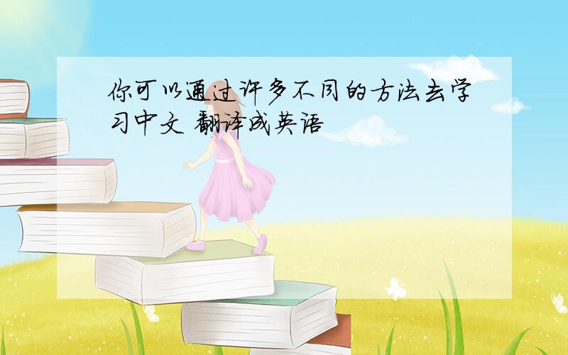 你可以通过许多不同的方法去学习中文 翻译成英语