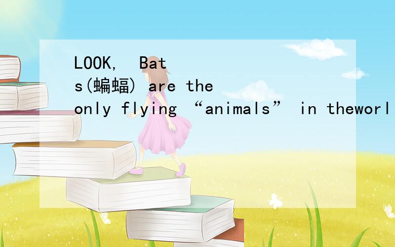 LOOK,²Bats(蝙蝠) are the only flying “animals” in theworl