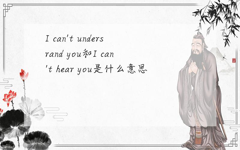 I can't undersrand you和I can't hear you是什么意思