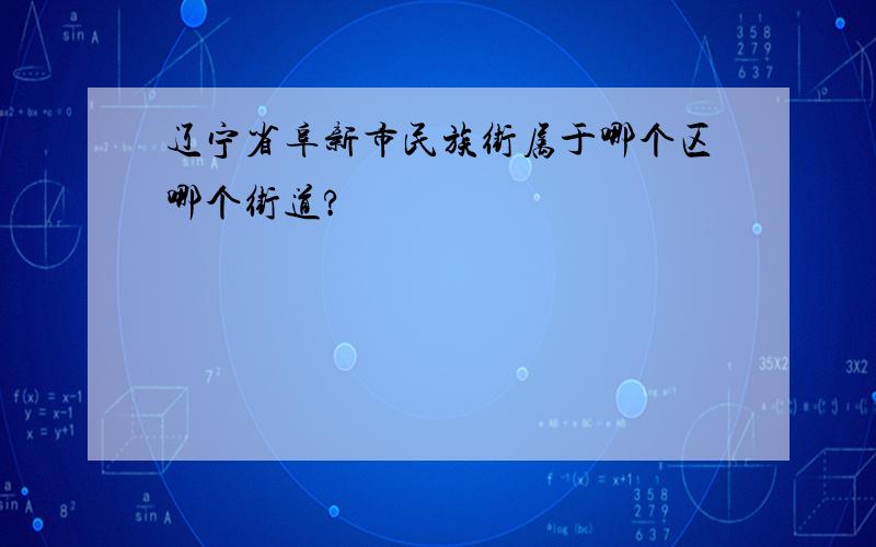 辽宁省阜新市民族街属于哪个区哪个街道?
