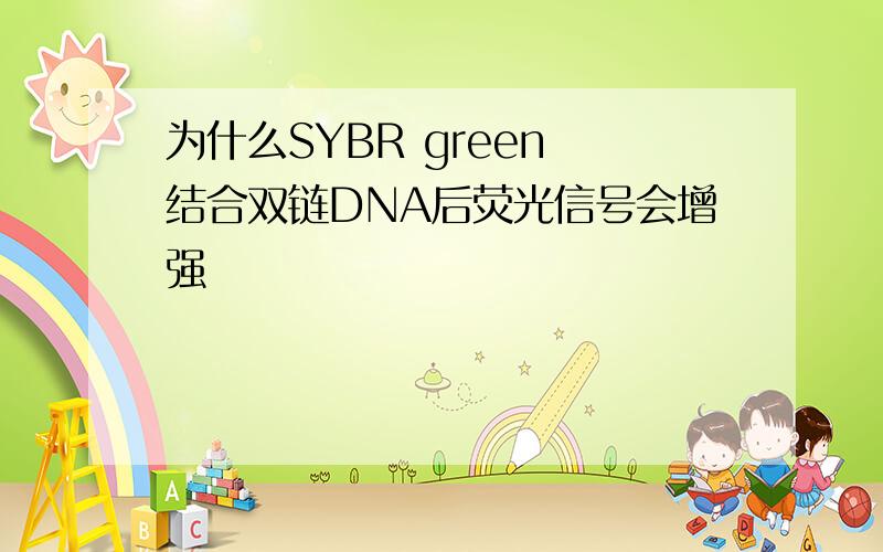 为什么SYBR green 结合双链DNA后荧光信号会增强