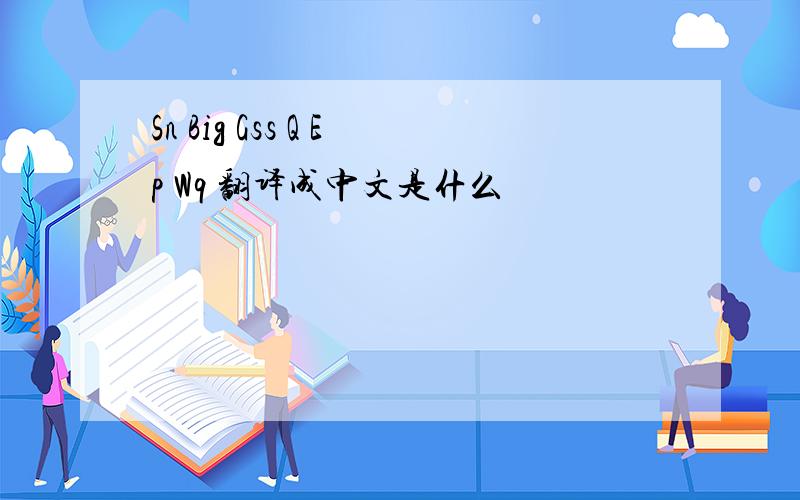 Sn Big Gss Q Ep Wq 翻译成中文是什么