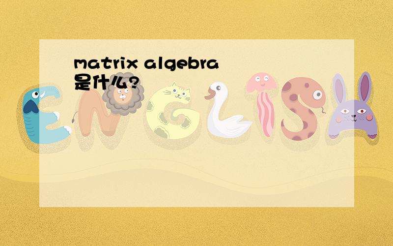matrix algebra是什么?