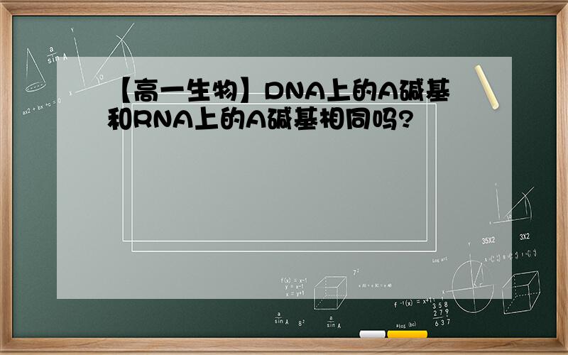 【高一生物】DNA上的A碱基和RNA上的A碱基相同吗?