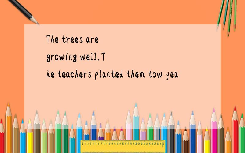 The trees are growing well.The teachers planted them tow yea